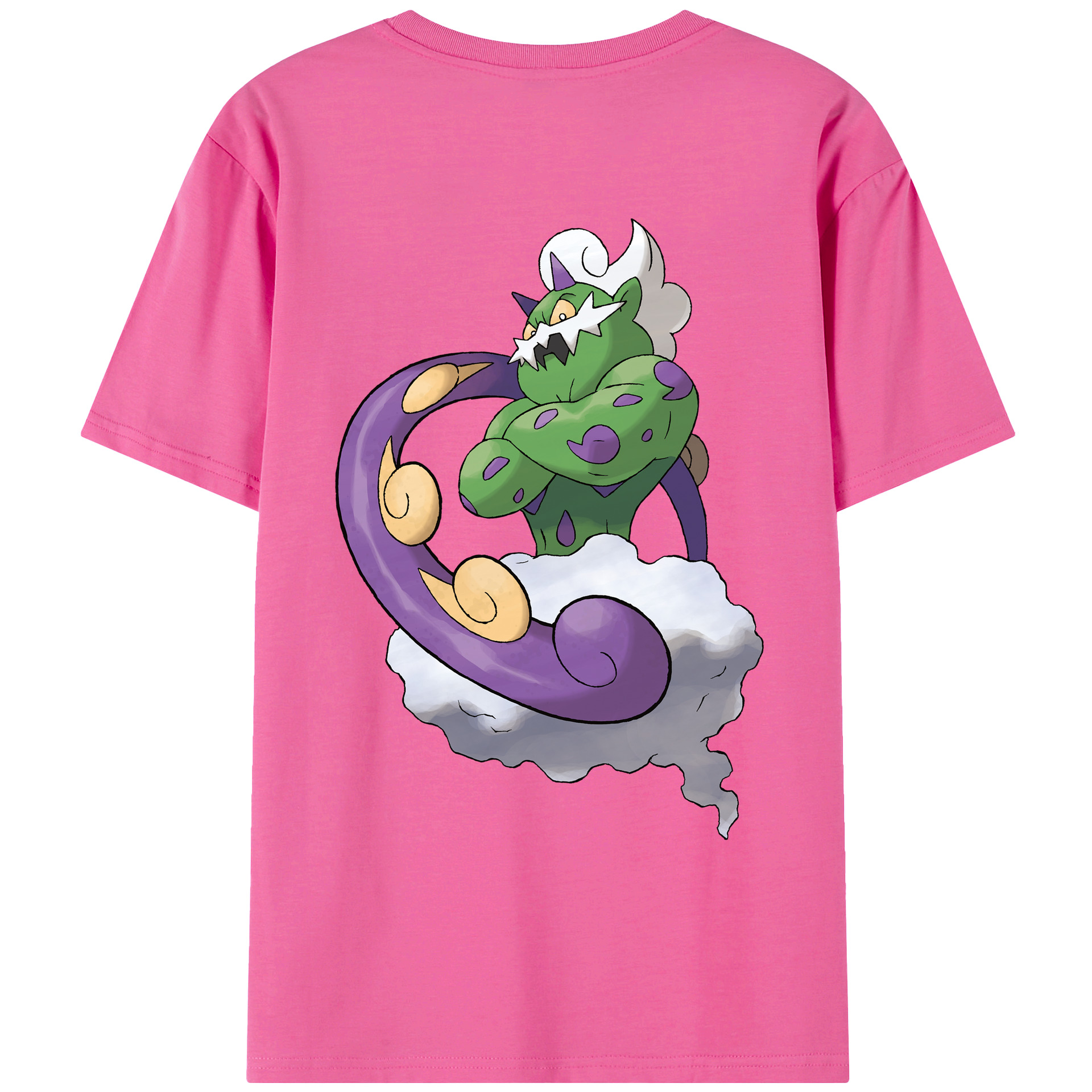 （画像用） ポケットモンスター Pokémon レディース半袖Tシャツ(バックプリント)
